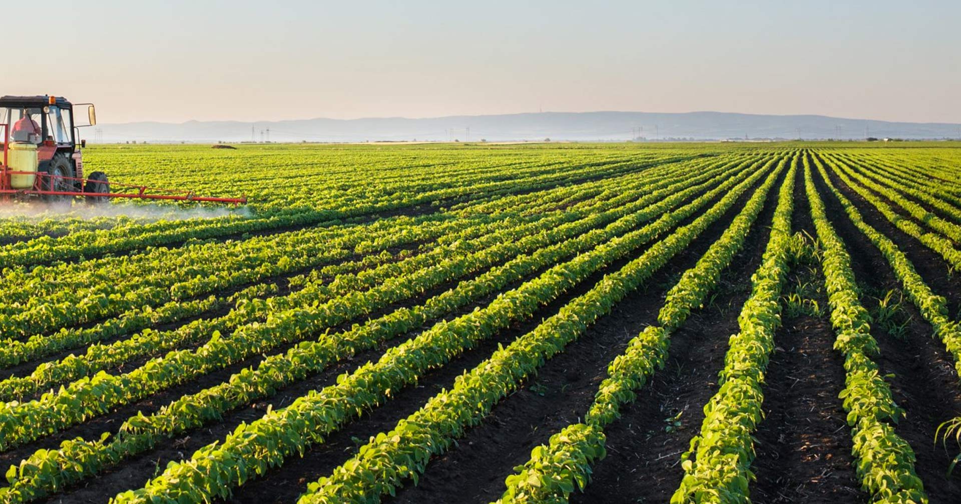 FMCG & Agro-Business Consultancy